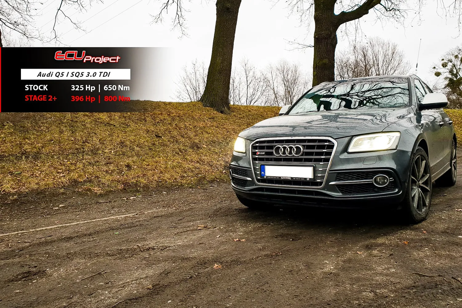 Audi SQ5 8R Stage 2+ - 396 KM i 800 Nm
