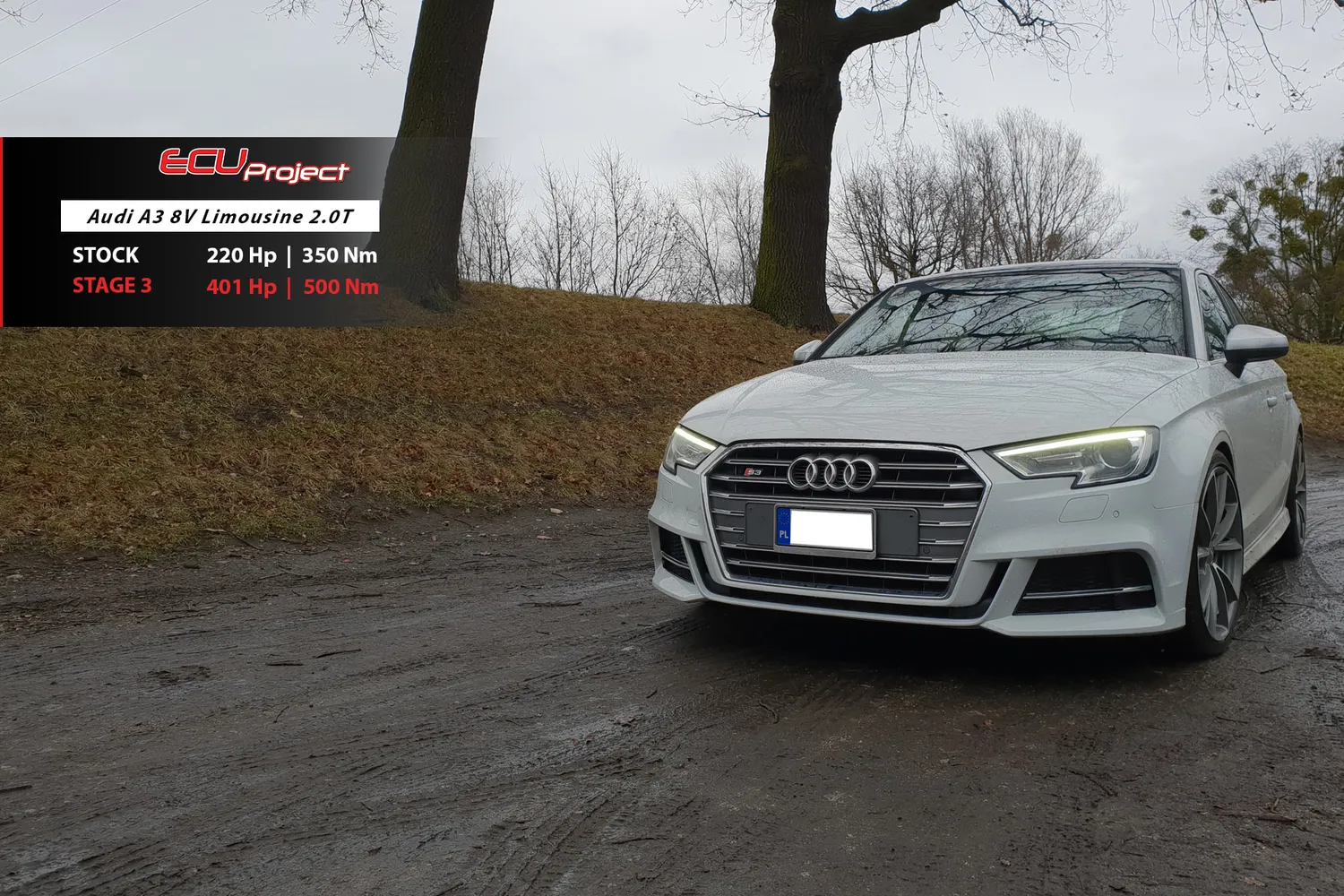 Audi A3 8V Stage 3 - 401 KM i 500 Nm