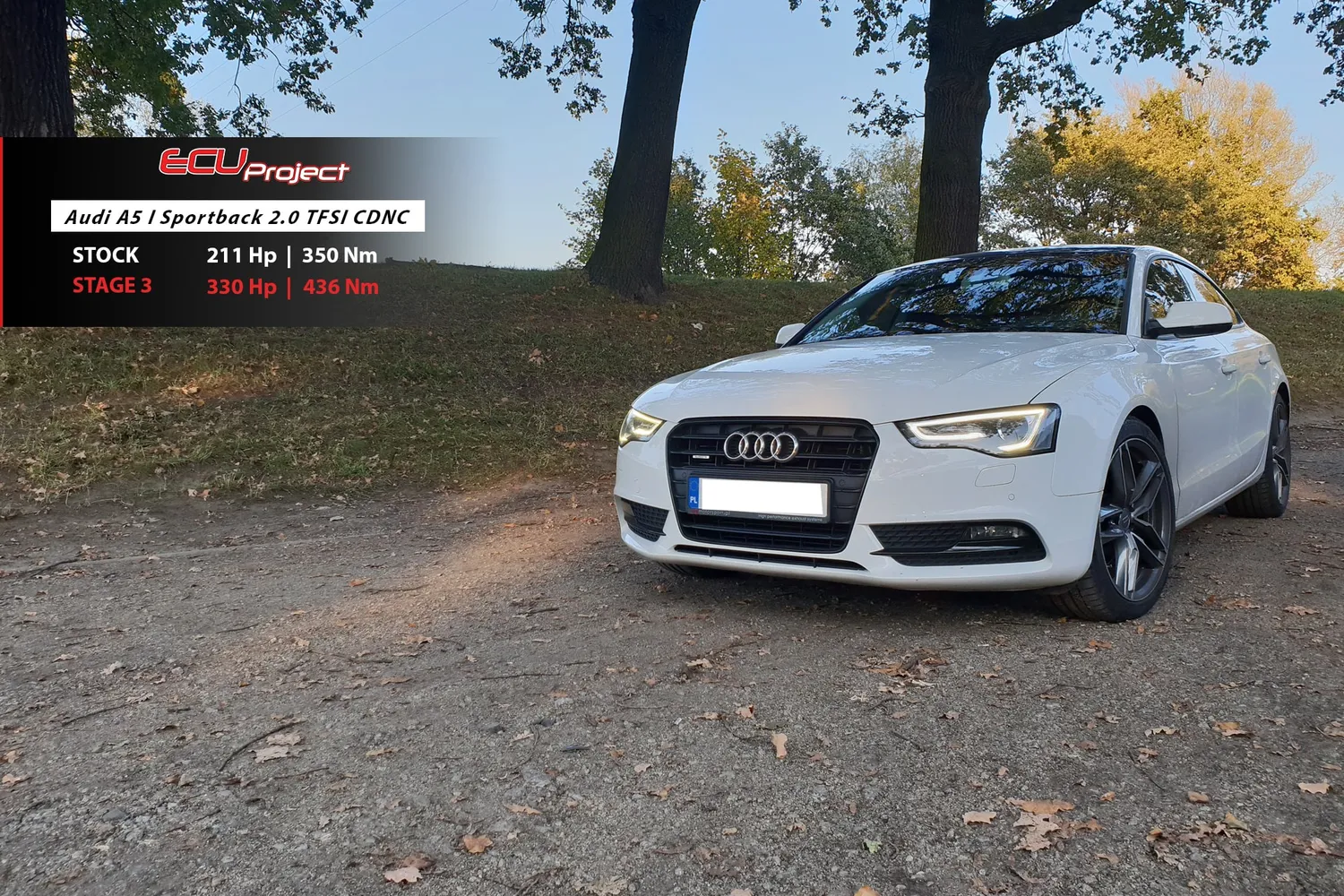 Audi A5 8T / 8F Stage 3 - 330 KM i 436 Nm